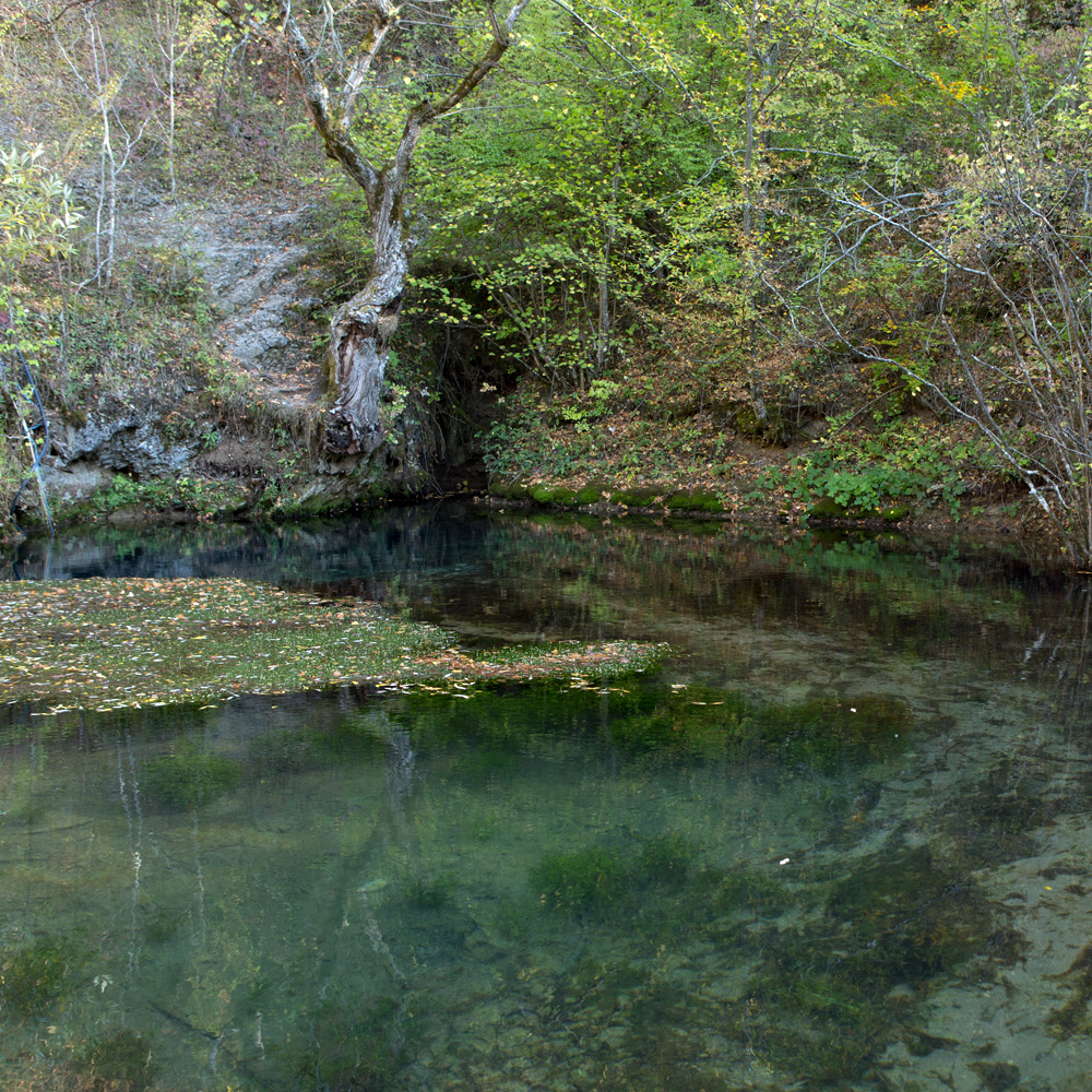 Serbien, Jelovacko Vrelo  –  „serbische Ressel“ (Teil 2/3)